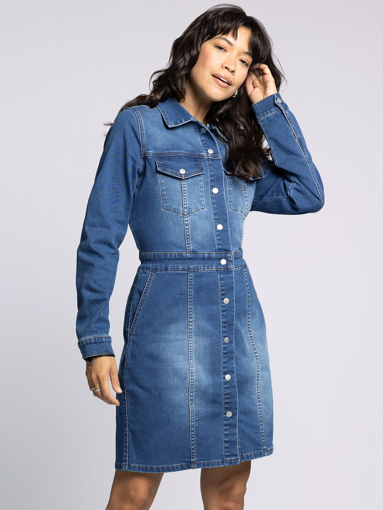 The Norma Snap Denim Dress