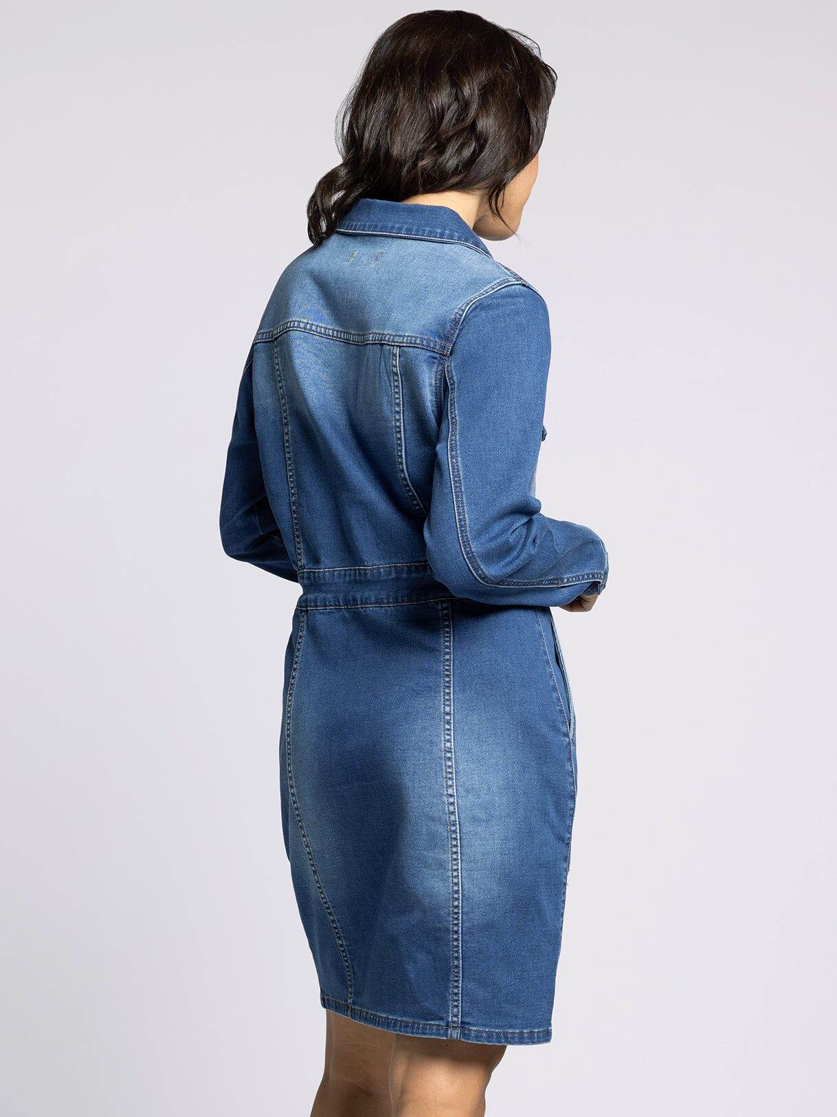 The Norma Snap Denim Dress