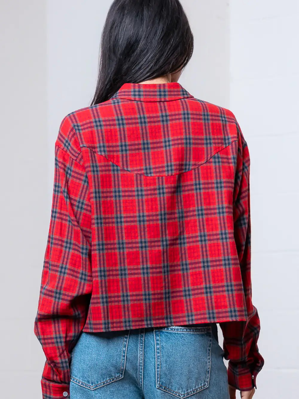 Rowan Embroidered Western Shirt