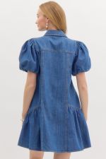 The Astrid Denim Dress