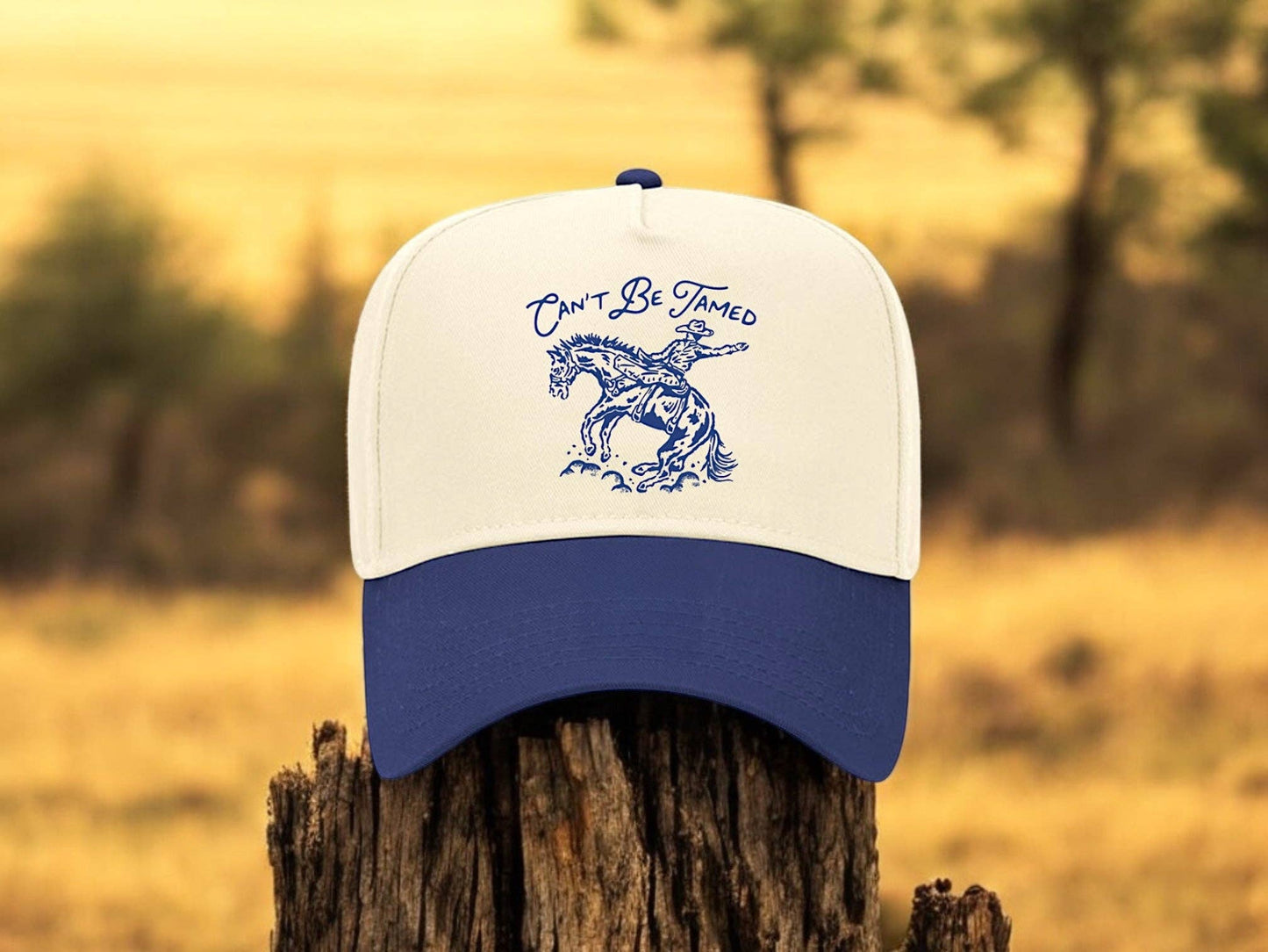 Can't Be Tamed Vintage Hat