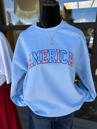 The America Embroidered Sweatshirt in Light Blue